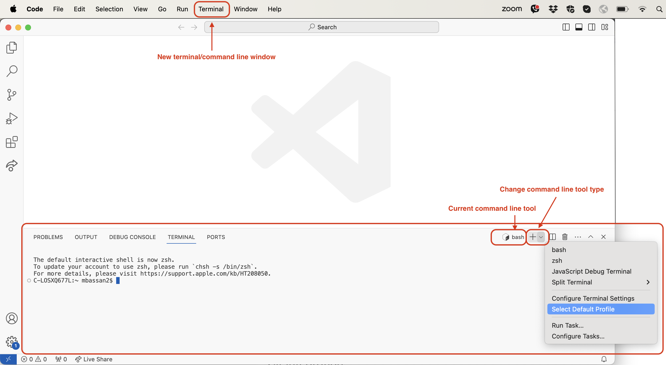 VS Code integrated terminal with Git Bash selected as the current shell